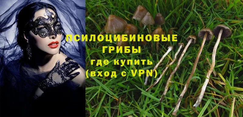 Псилоцибиновые грибы MAGIC MUSHROOMS  гидра как зайти  Армянск  где можно купить наркотик 