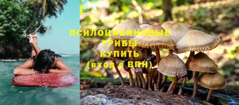 купить наркоту  Армянск  это официальный сайт  Псилоцибиновые грибы Magic Shrooms 